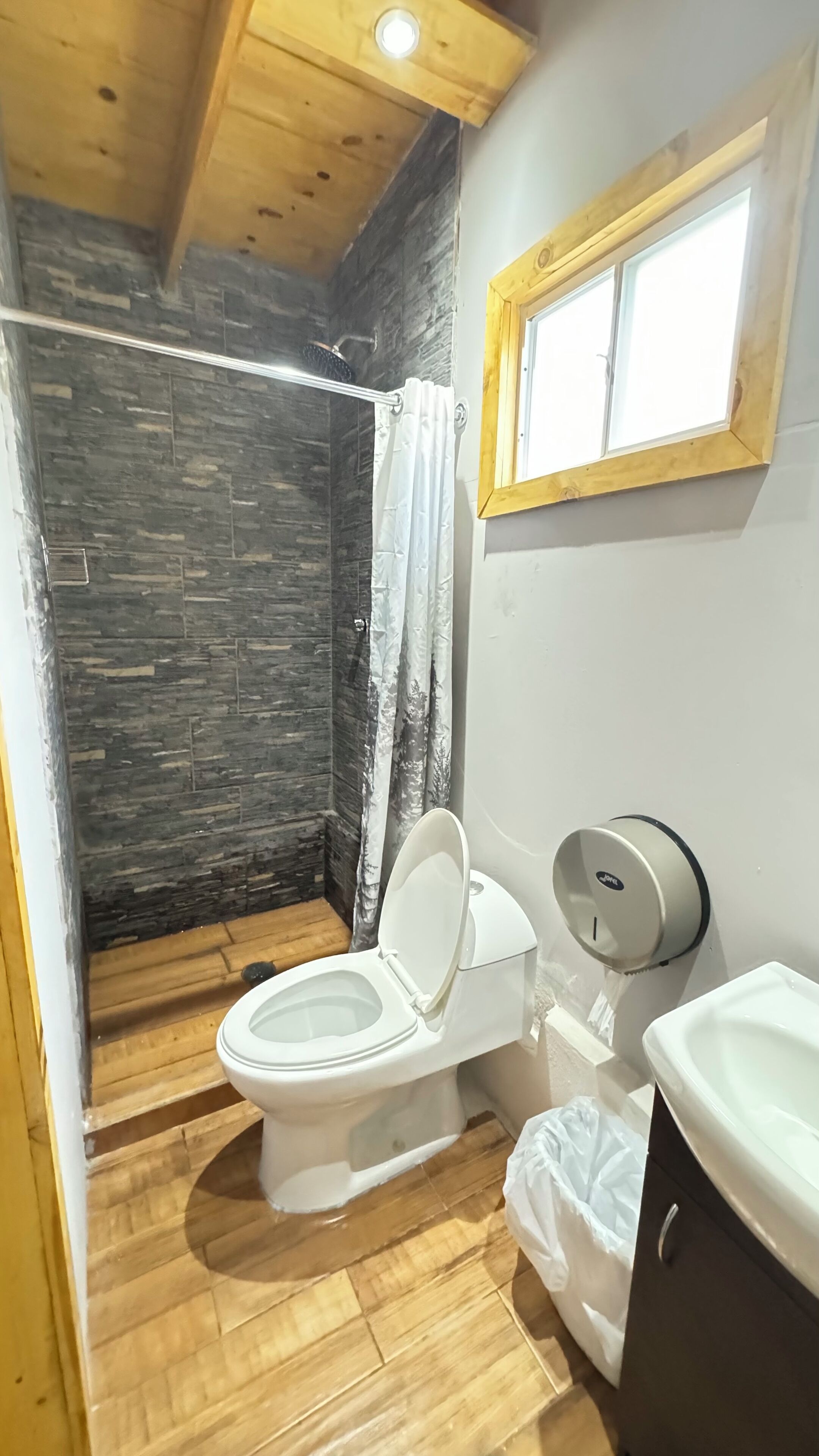 Shower, toilet paper