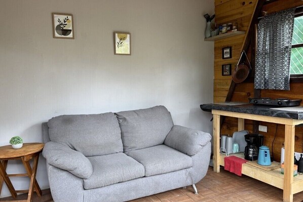 A grey sofa, a small wooden table with a potted plant, and a kitchen area with a wooden shelf and various kitchen items.