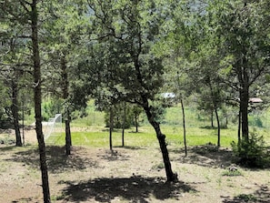 Área da propriedade