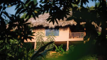 Vista desde la habitación