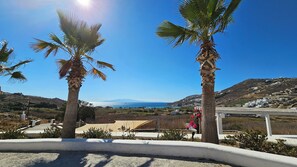 A coastal view with palm trees, a clear sky, and a distant view of a town and sea. - Mykonos4Islands Seaside Homes and Suites (Mykonos)