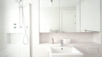 Shower, hair dryer, shampoo