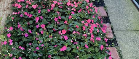 DĂ©tail de lâextĂ©rieur