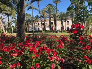 Appartement | Enceinte de l’hébergement