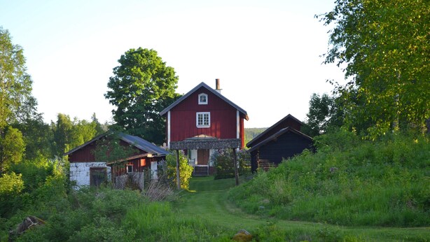 Ein rotes Haus mit Veranda und ein kleines Gebäude in der Nähe, umgeben von Grün.