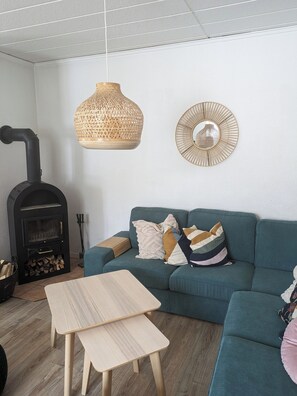 Smart TV, chimenea, reproductor de DVD, libros