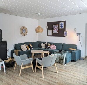 Smart TV, chimenea, reproductor de DVD, libros