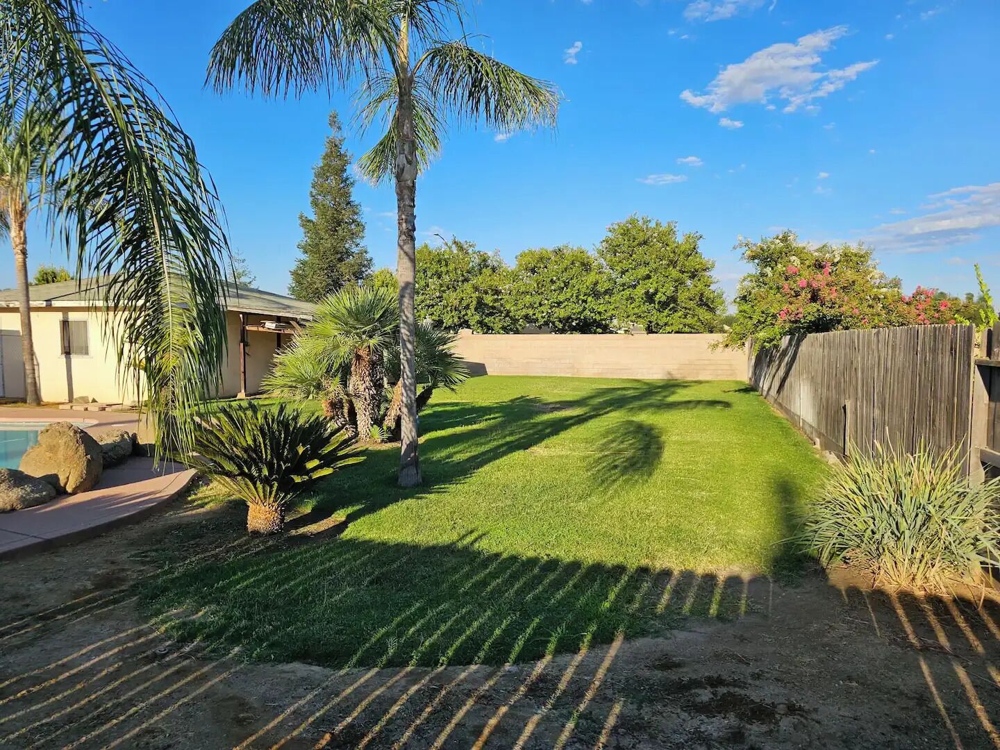 Un jardin avec une piscine, des palmiers et une clôture en bois.