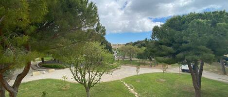 Àrea exterior de l'allotjament