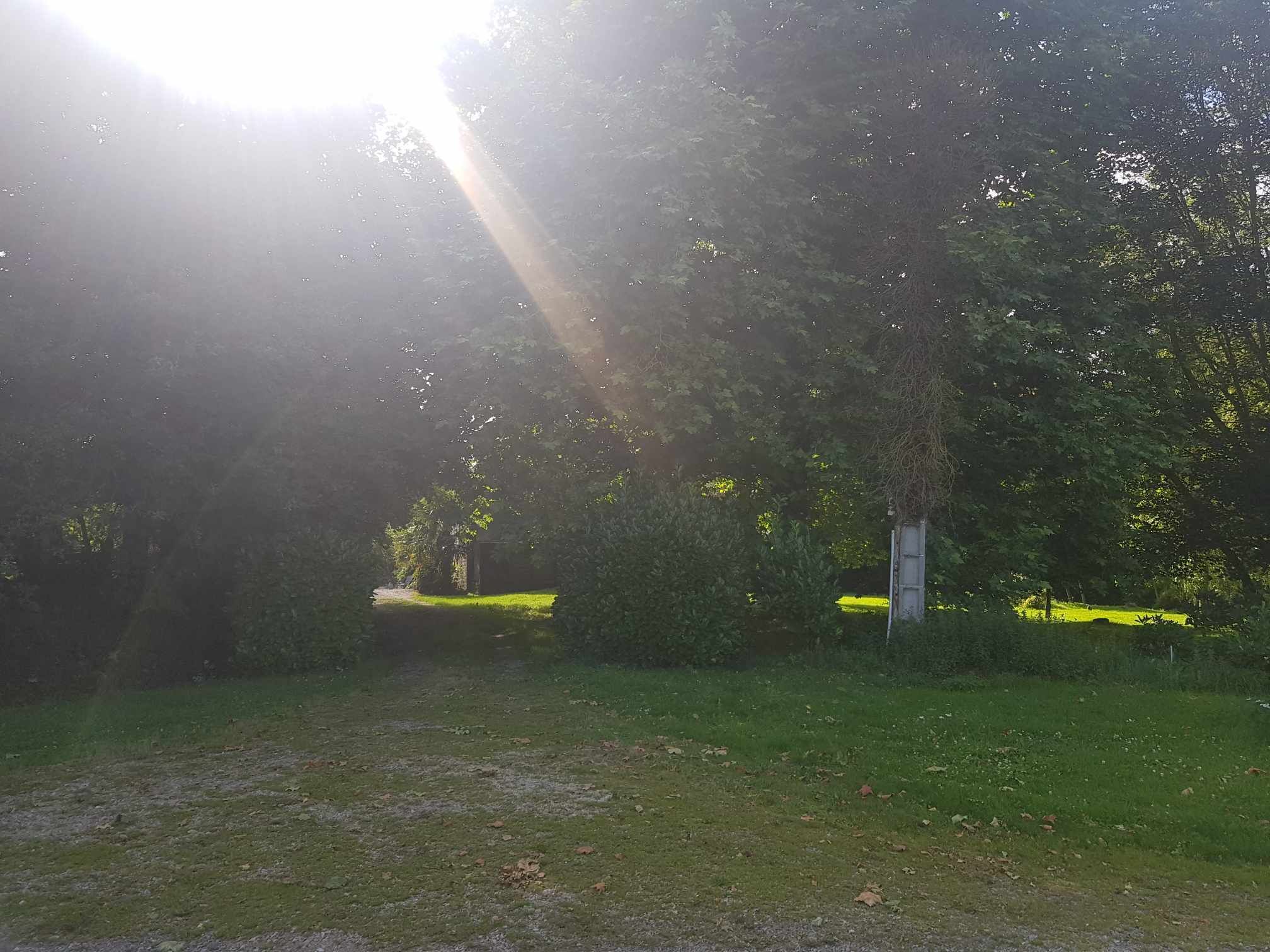 A pathway through a park with trees and a grassy area.