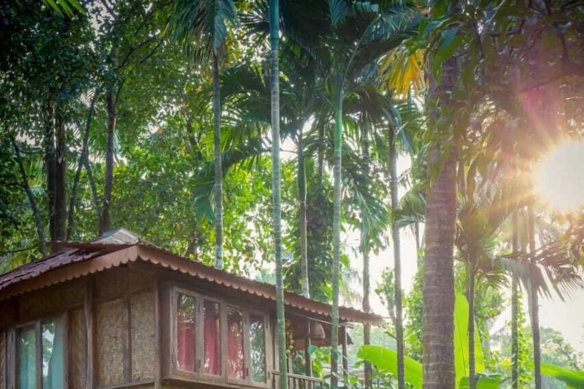 Tree House | 1 bedroom, free WiFi