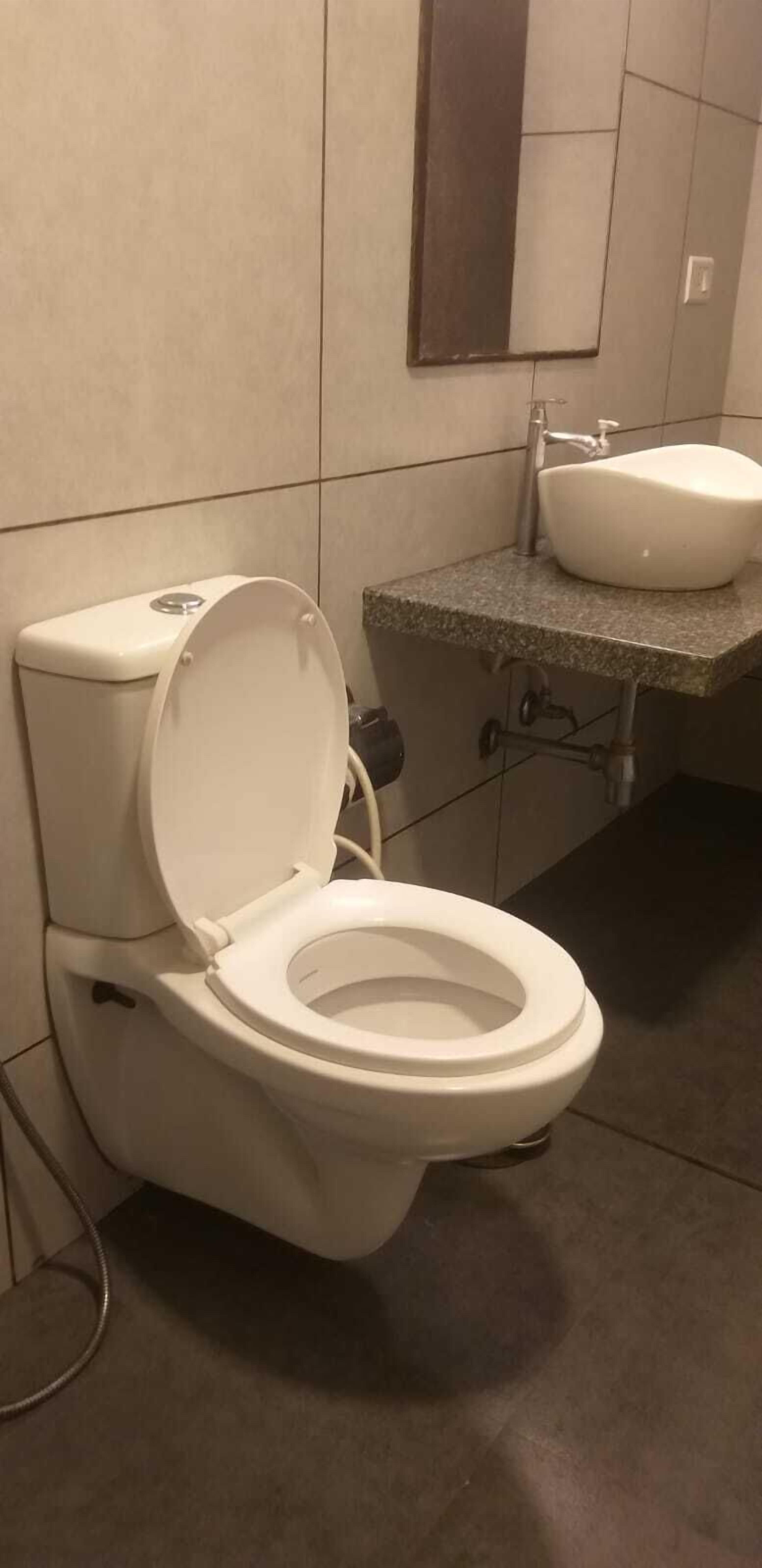 Une salle de bain avec des toilettes, un lavabo et un miroir.
