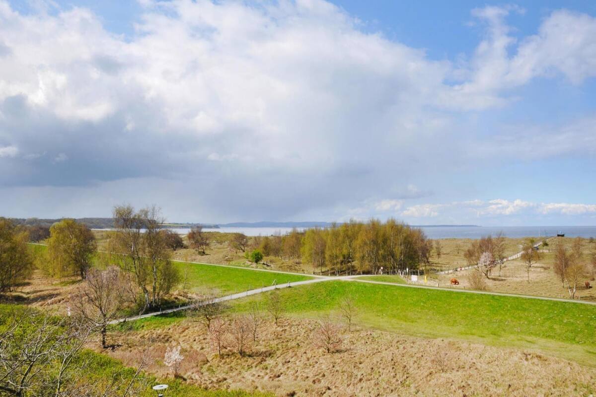 Vista dalla struttura
