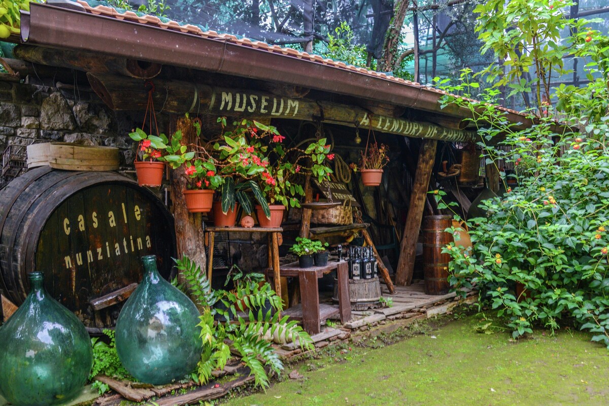 Entorn rústic a l'aire lliure amb un ton de fusta etiquetat 'casale nunziatina', envoltat de plantes en testos i una estructura de fusta etiquetada 'MUSEUM 4 SIGLE DE L'AGRICULTURA'.