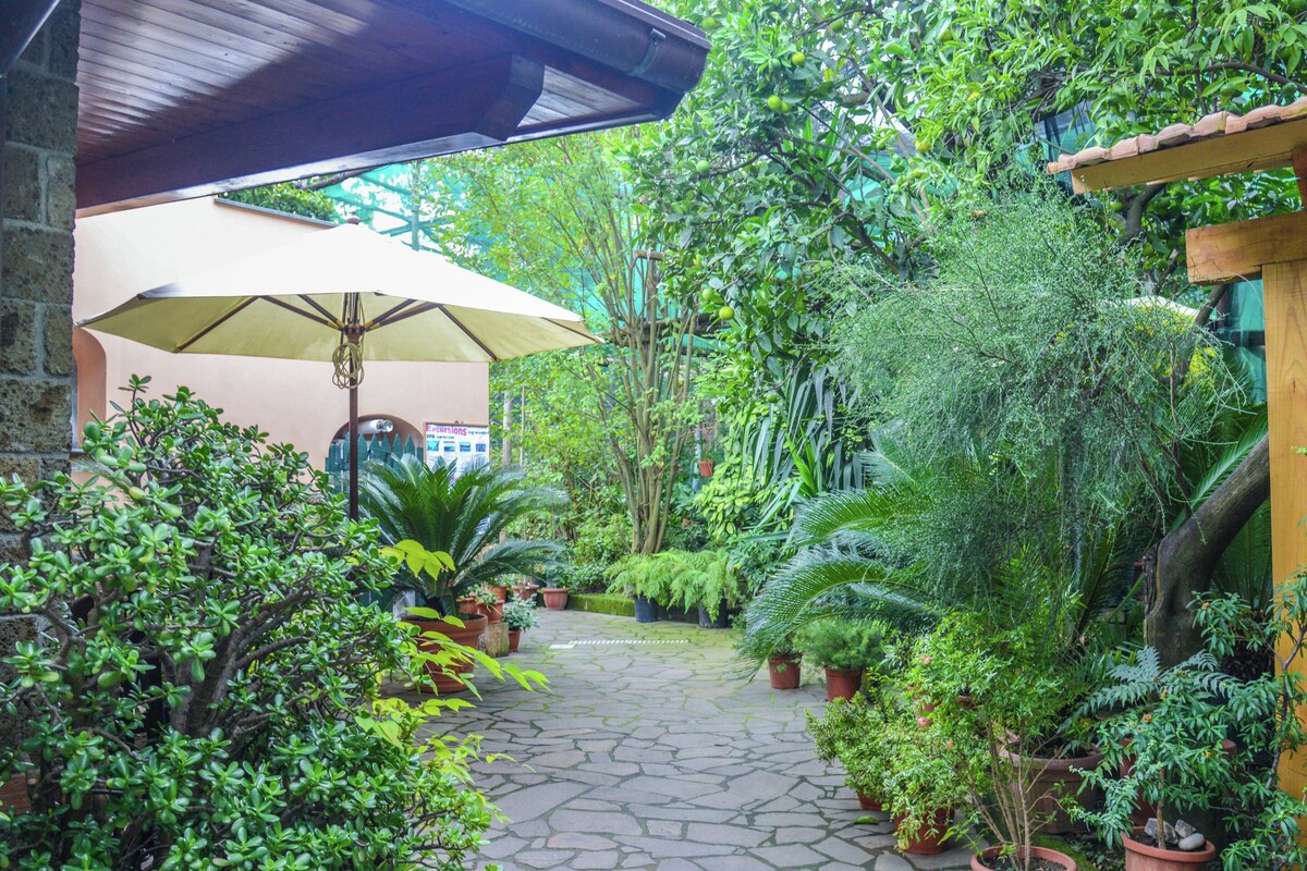 Un camí empedrat al jardí, amb plantes en testos i un para-sol gran.