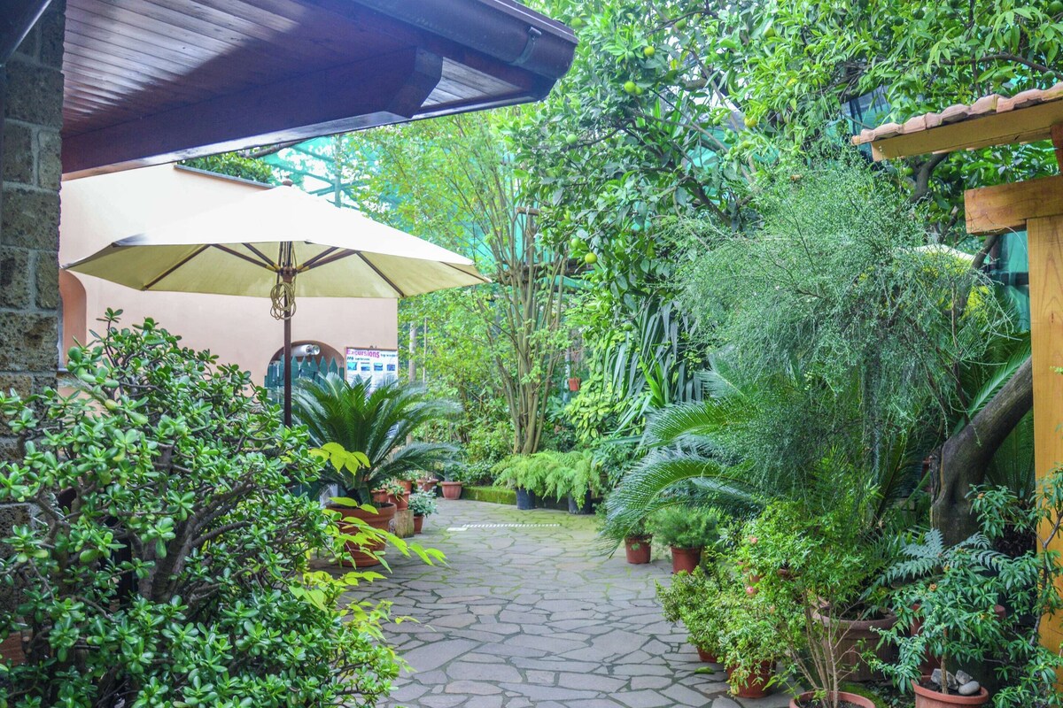 Un jardí amb paviment de pedra, plantes en testos i un parasol gran.