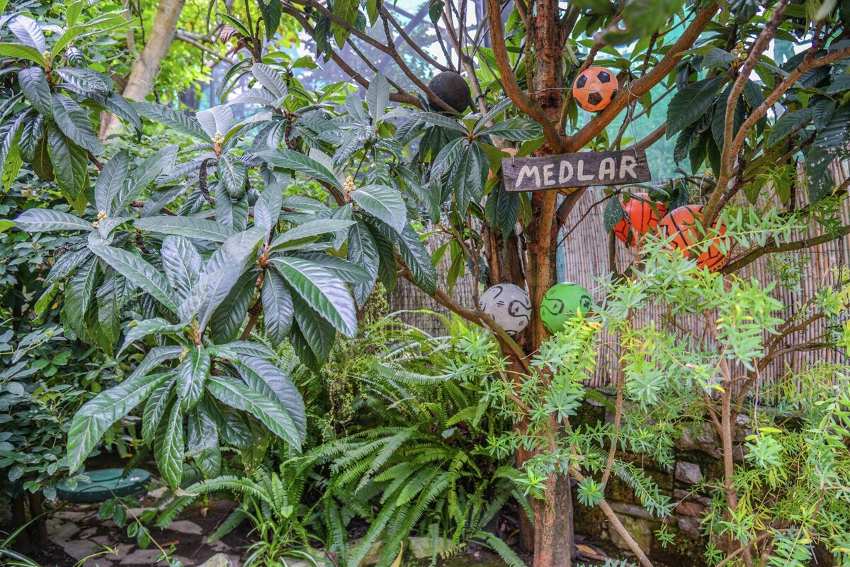 Un jardí exuberant amb un senyal que diu “MEDLAR” penjant d'un arbre.
