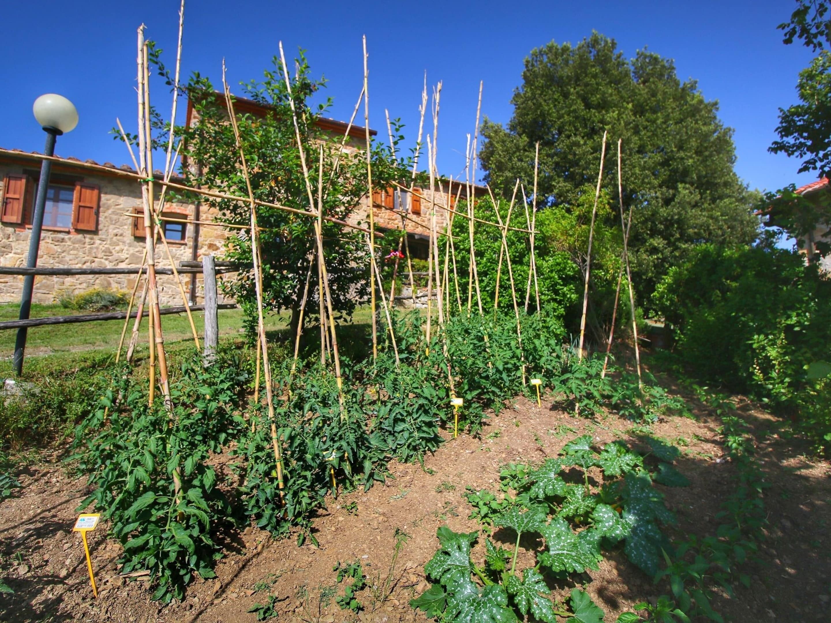 A garden with various plants and a wooden structure.