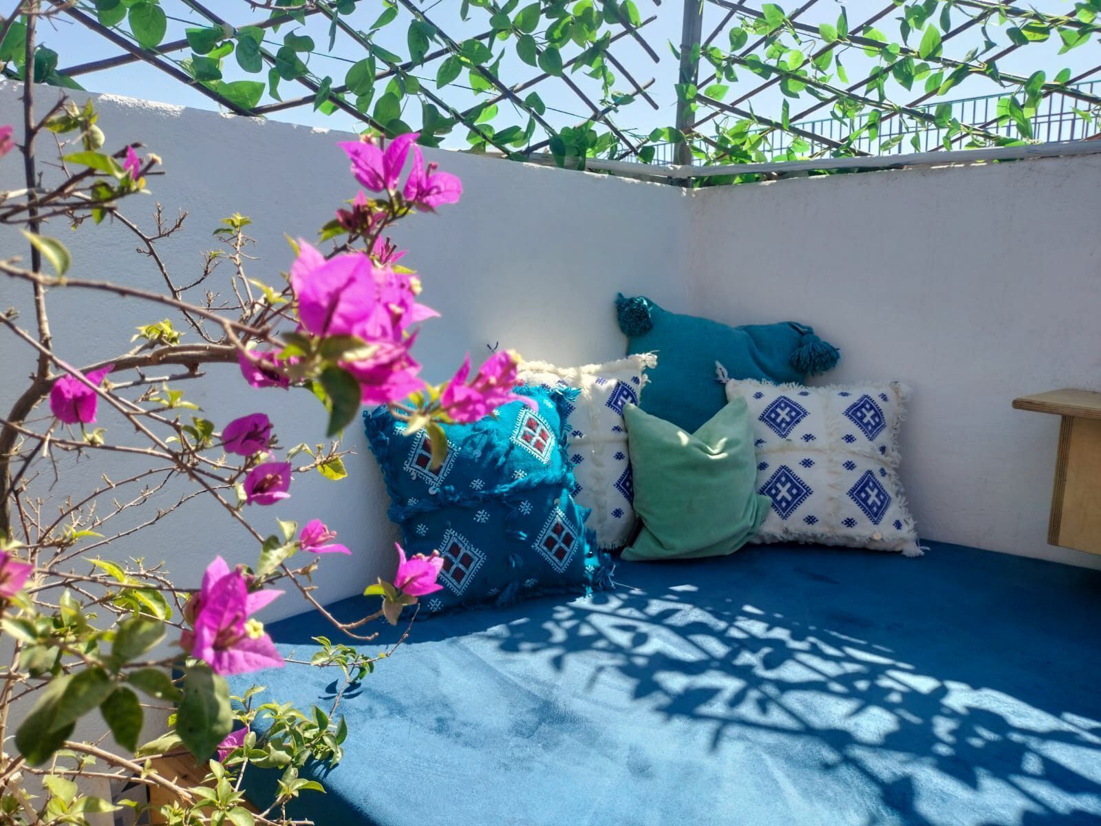 A room with a blue bed, patterned pillows, and a plant with pink flowers.