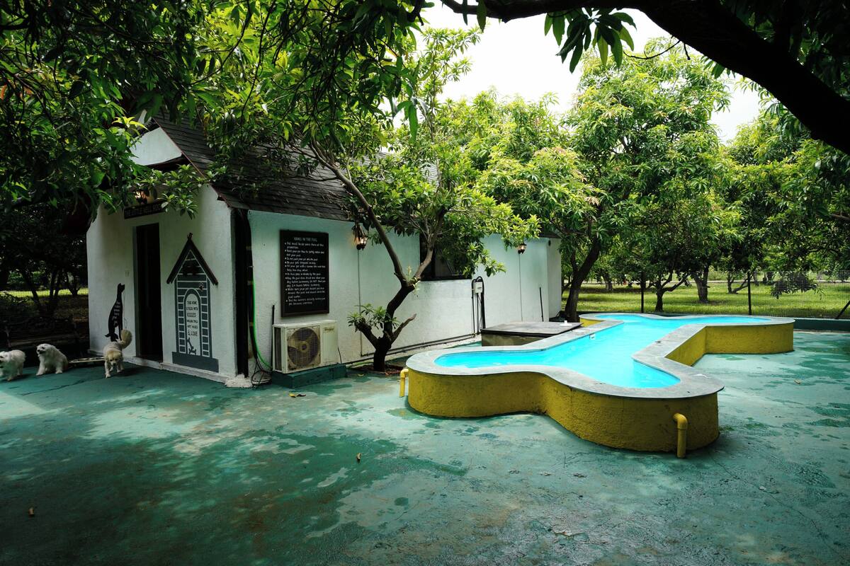 A small building with a pool, surrounded by trees.