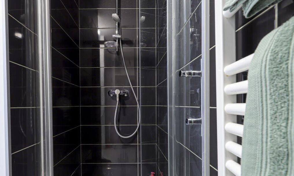 Een douche, gratis toiletartikelen, een haardroger, handdoeken