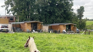A horse in a grassy field with a wooden building in the background. -  Bambi's Hideaway (Castlewellan)