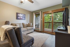 TV - Vacay N Stay | Quiet Community Near Branson! (Reeds Spring)