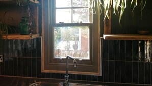 Une cuisine avec une fenêtre, un évier et diverses plantes.