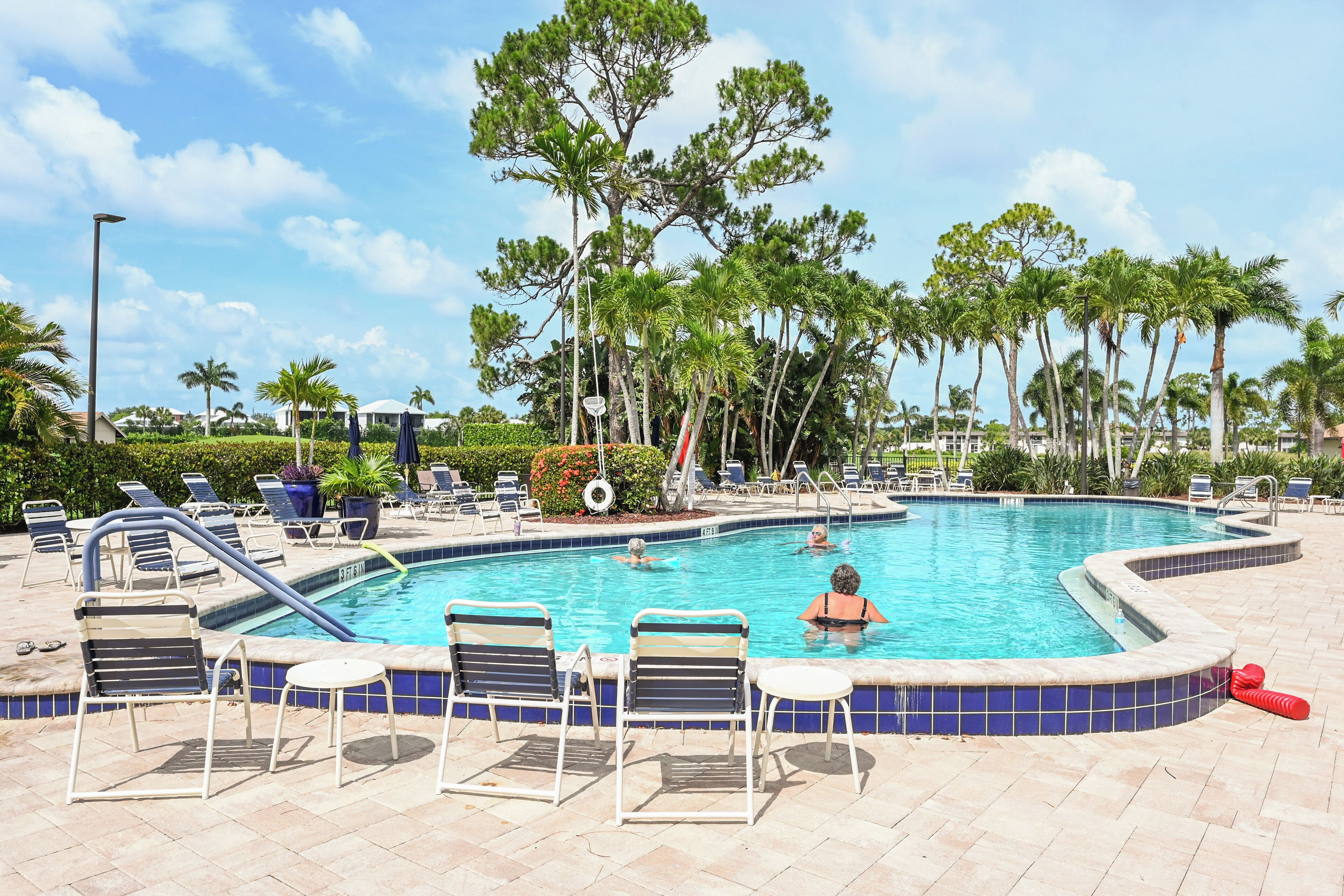 A swimming pool with lounge chairs and palm trees.