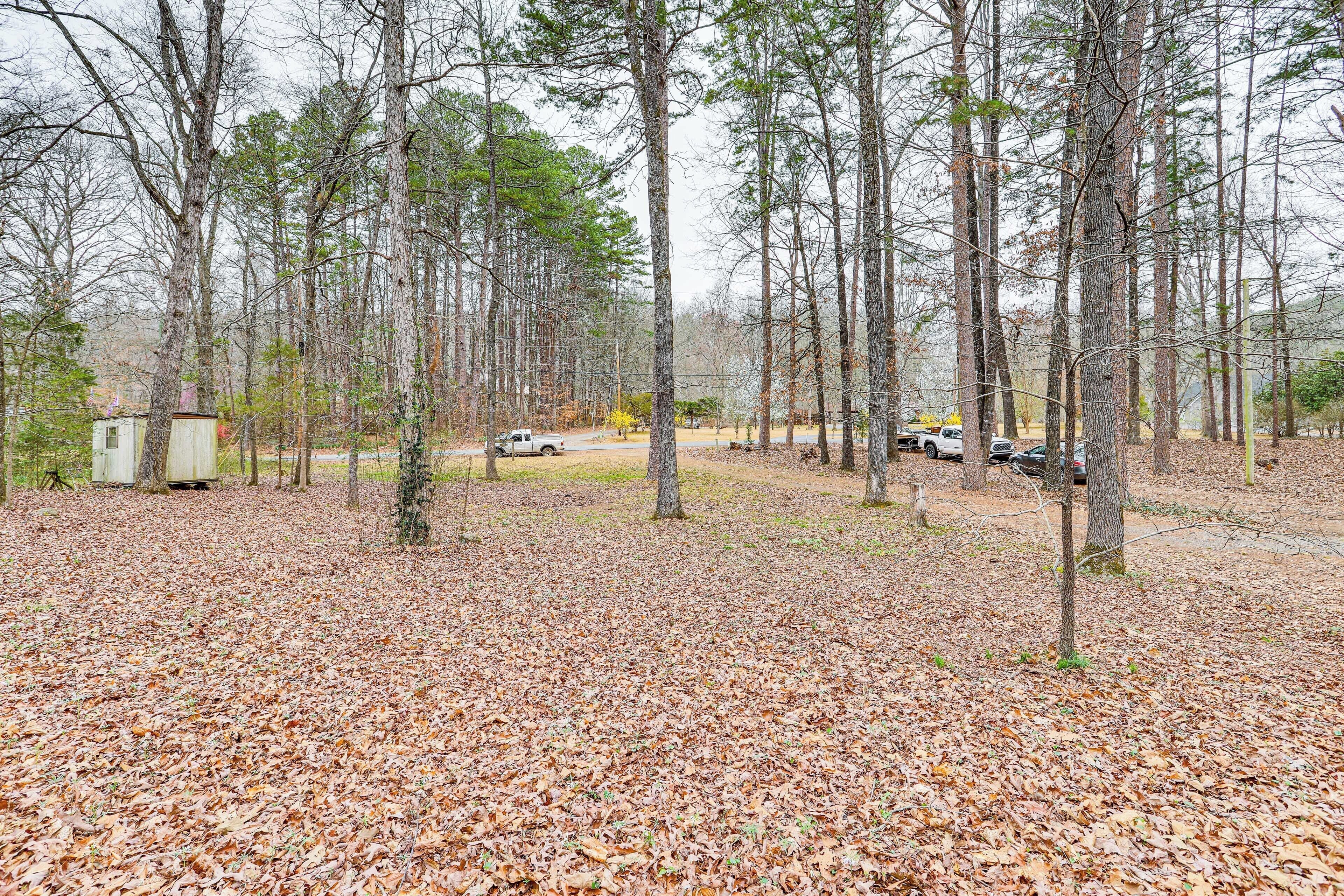 Ein Campingplatz mit mehreren geparkten Fahrzeugen, umgeben von hohen Bäumen und einem mit herabgefallenen Blättern bedeckten Boden.
