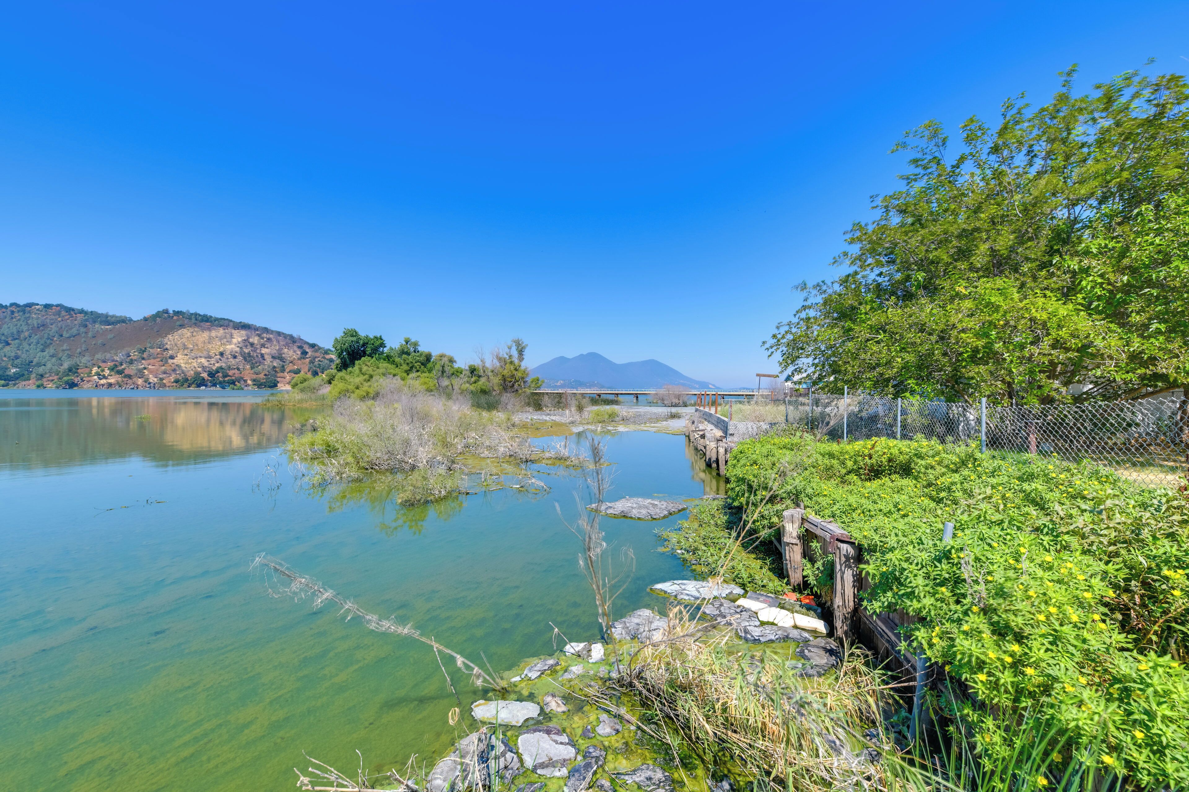 A serene lakeside view with clear water, rocky shore, and lush greenery.