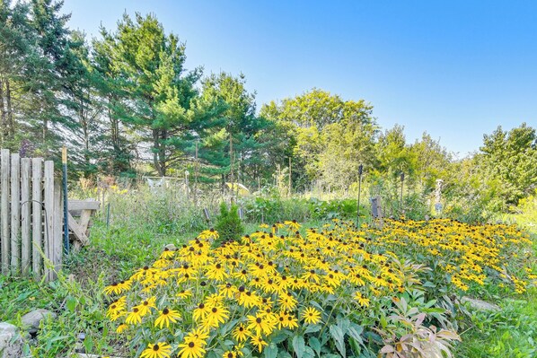 House (2 Bedrooms) | Interior - Waterfall Wonderland: Home w/ Fire Pit in Newfield (Newfield)