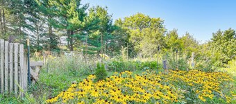 Waterfall Wonderland: Home w/ Fire Pit in Newfield