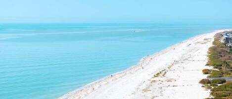 Condo, 2 Bedrooms | Beach | On the beach