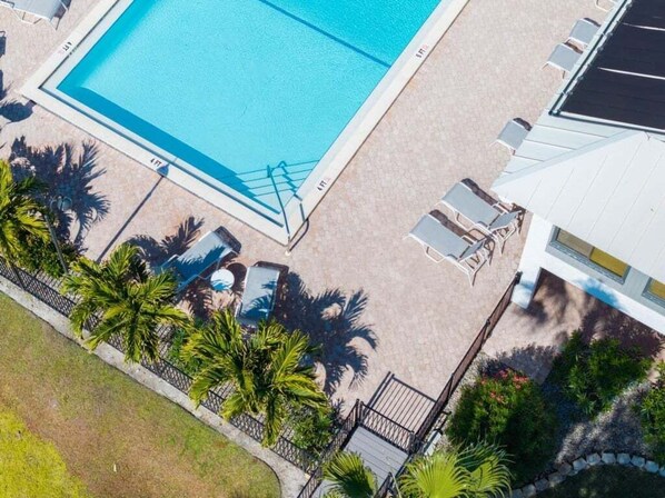 Vista aèria d'una piscina envoltada de palmeres i gandules.