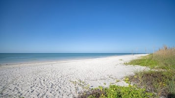 A beach with a clear sky, sandy shore, and some vegetation.
