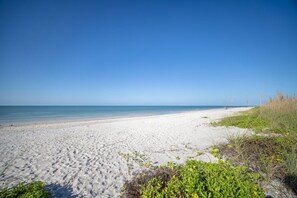 Una playa con cielo despejado, orilla arenosa y algo de vegetación.