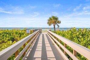 Un muelle de madera que conduce a una playa con una palmera y abundante vegetación.