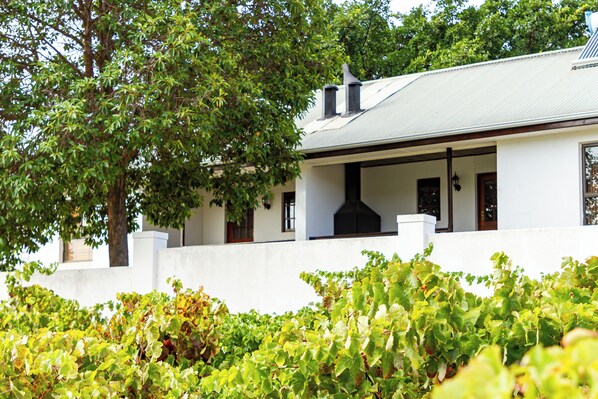 Front of property - D'Aria Guest Cottages (Cape Town)