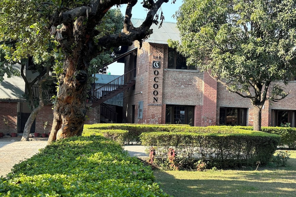 The Cocoon - Boutique Stay
