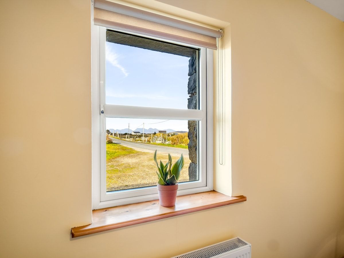 Ventana con vistas a un paisaje rural, una planta en maceta en el alféizar y una rejilla debajo.