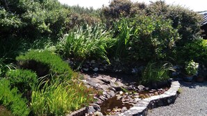 Property grounds - Clochan Peaceful hideaway (Clifden)