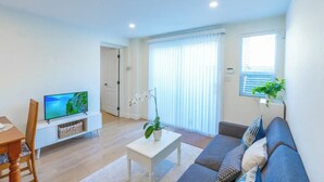 تلفزيون