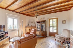 Télévision, cheminée, lecteur de DVD