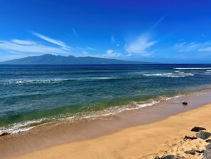Beach - Kaanapali Shores 213: OceanFront Resort w/ December Availability! (Lahaina)