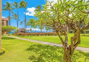 Property grounds - Papakea K105 Tropical Getaway at a Ground Floor Condo Oceanfront Resort (Lahaina)