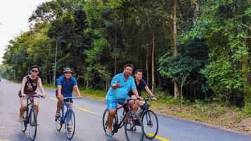 Four people riding bicycles on a paved road surrounded by dense greenery.
