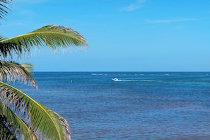 Beach - Breathtaking Oceanview Escape: 3rd Floor Condo, Expansive Balcony & Resort Perks (San Pedro Town)