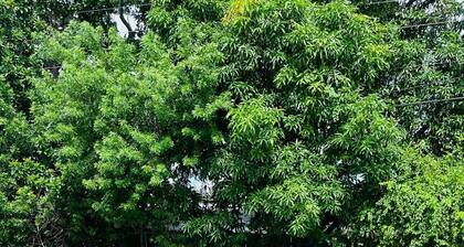 Charming 2-bedroom villa in Sunny Miami