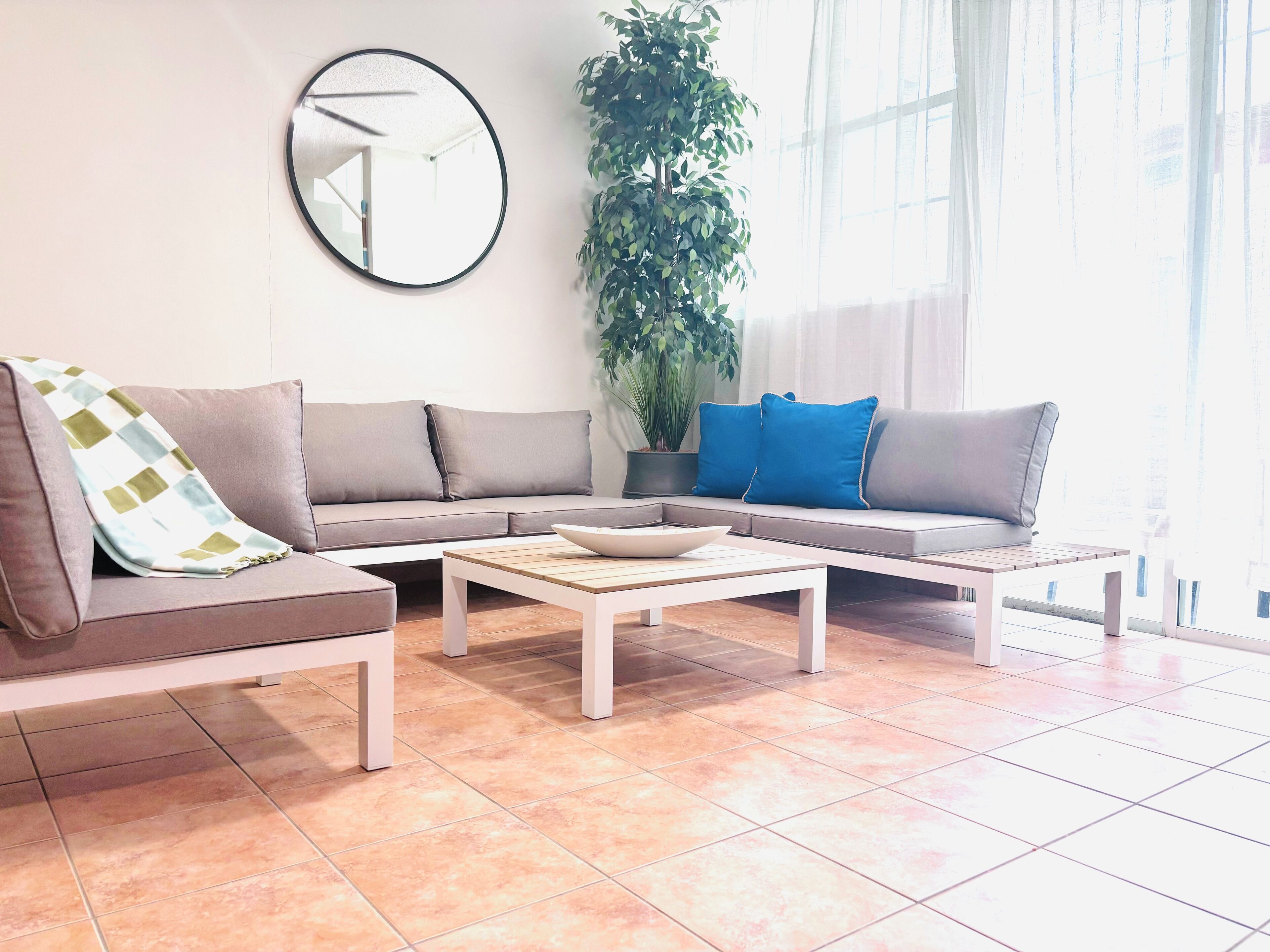 Un salon avec un canapé, une table basse et une grande plante en pot.